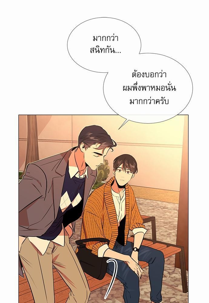 Red Candy เธเธเธดเธเธฑเธ•เธดเธเธฒเธฃเธเธดเธเธซเธฑเธงเนเธ31 (43)
