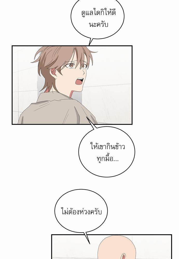 ตกหลุมรัก! ยากูซ่าพ่อลูกติด ตอนที่ 51 25