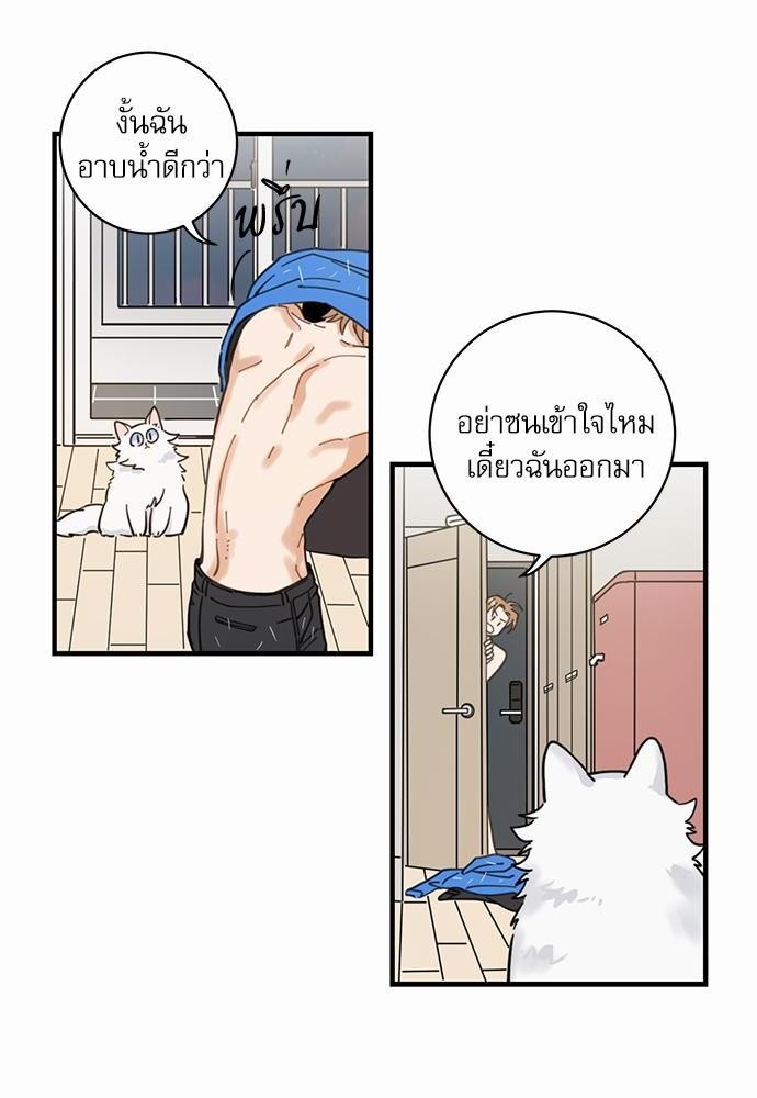 อ่านมังงะวาย