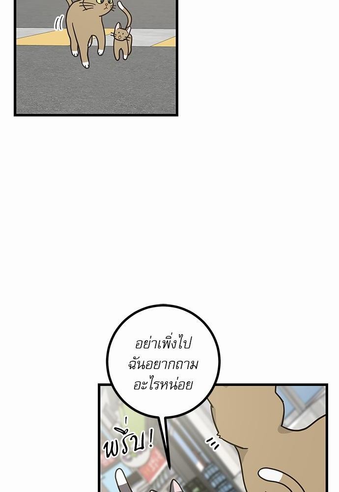 อ่านมังงะวาย