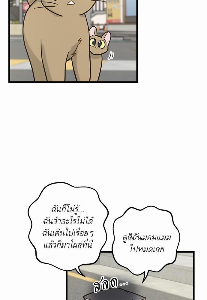 อ่านมังงะวาย