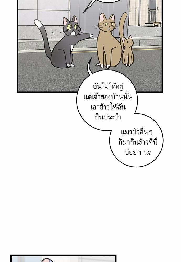 อ่านมังงะวาย