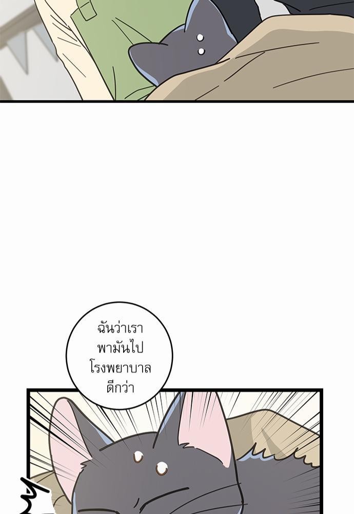 อ่านมังงะวาย