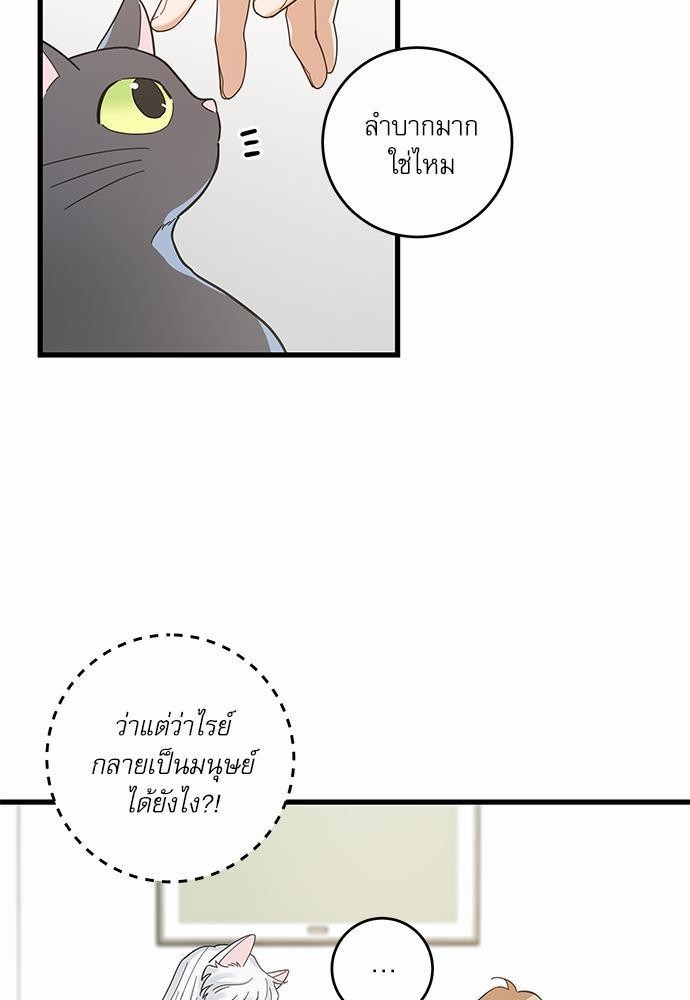 อ่านมังงะวาย