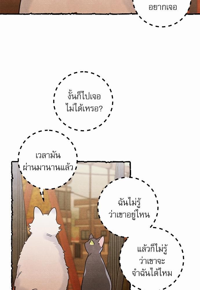 อ่านมังงะวาย