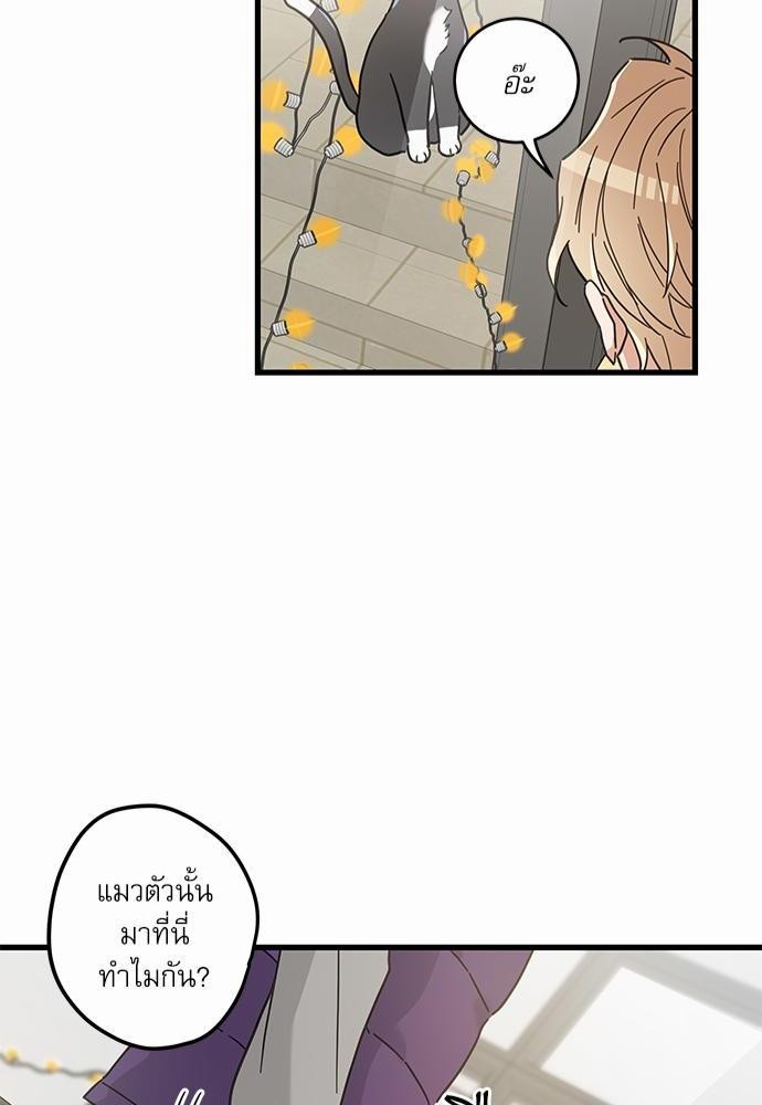 อ่านมังงะวาย