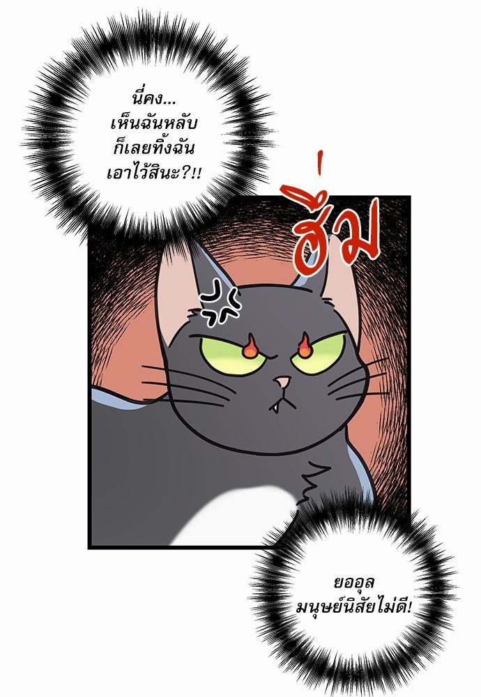 อ่านมังงะวาย