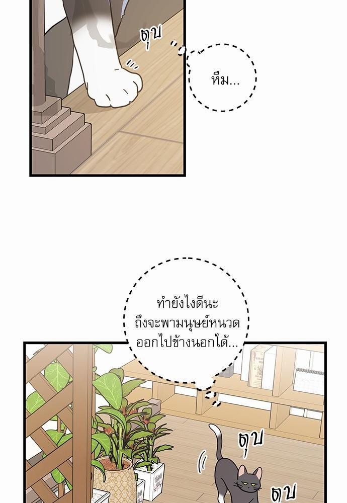 อ่านมังงะวาย