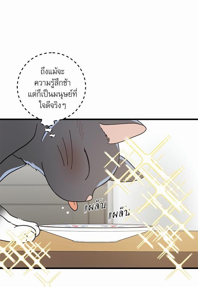 อ่านมังงะวาย