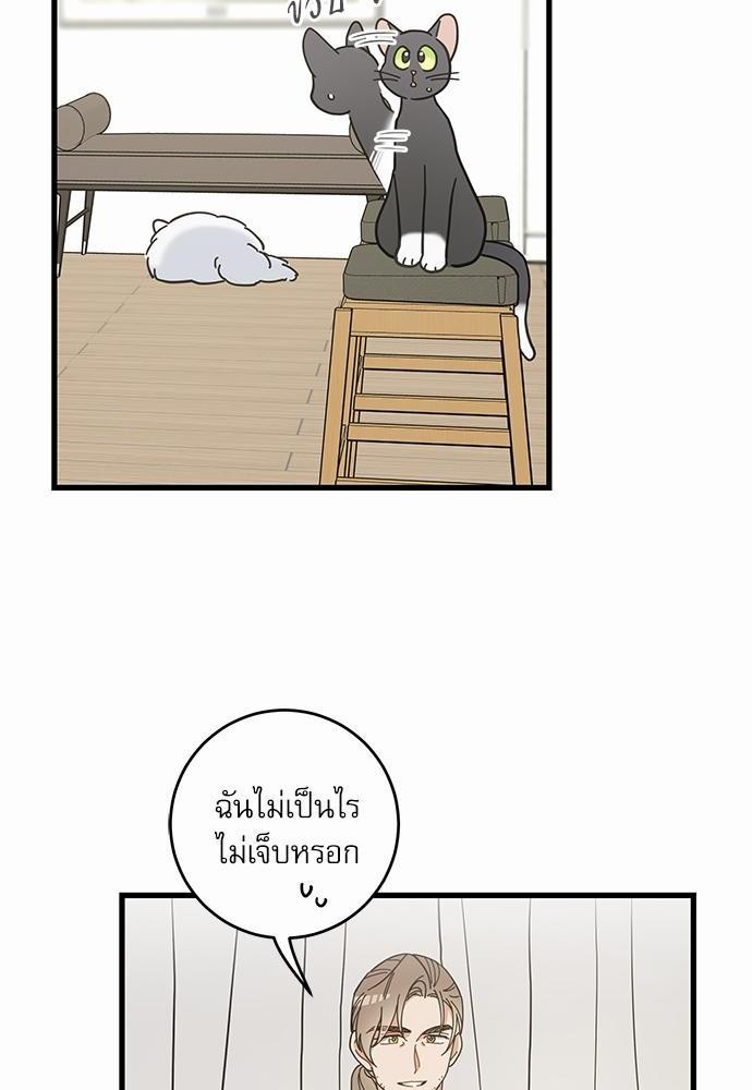 อ่านมังงะวาย